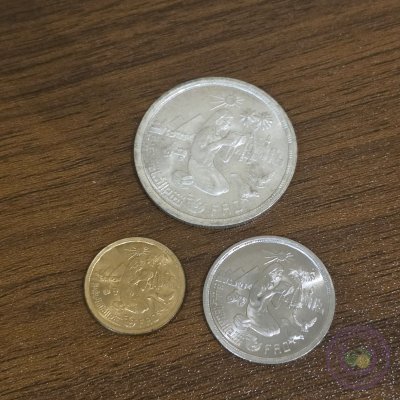 مصر 🇪🇬 طقم ٣ عملات الفاو المرأة الريفية (١٩٨٠)