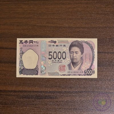 اليابان 🇯🇵 ٥٠٠٠ ين (٢٠٢٤)