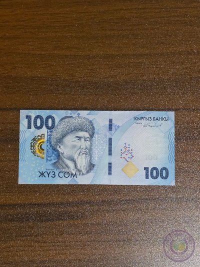 قيرغيزستان 🇰🇬 ١٠٠ سوم