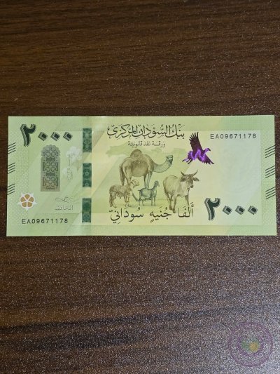 السودان 🇸🇩 ٢٠٠٠ جنيه - إصدار يونيو ٢٠٢٥
